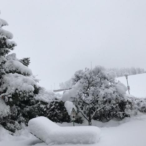 winterlandschaft4