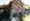 tvb-familie-01