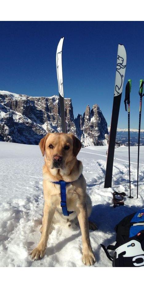 SkitourSeiserAlm